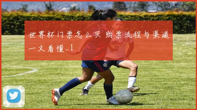 世界杯门票怎么买 购票流程与渠道一文看懂_1