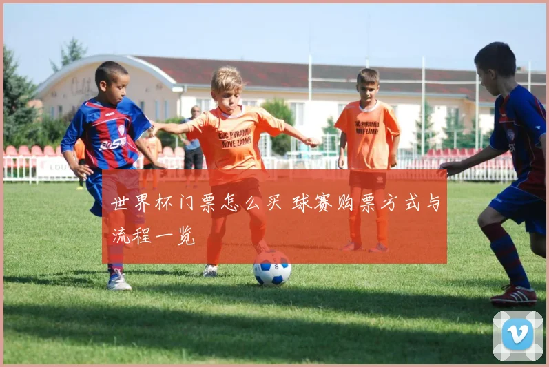 世界杯门票怎么买 球赛购票方式与流程一览