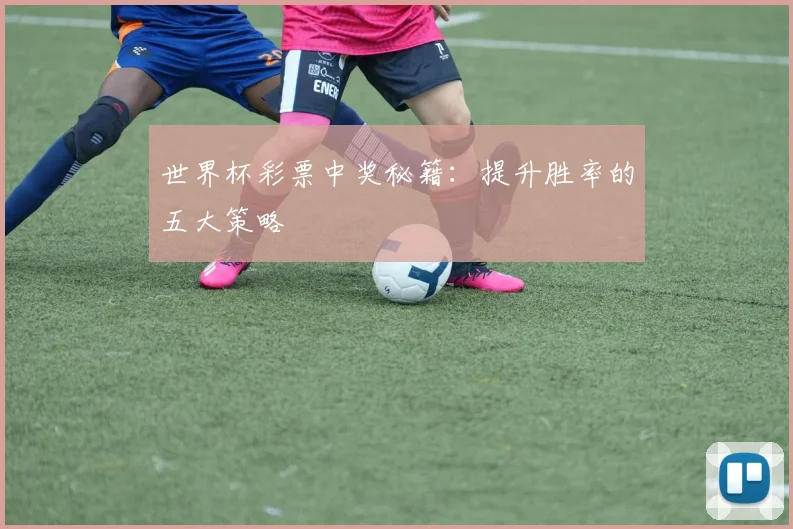 世界杯彩票中奖秘籍:提升胜率的五大策略