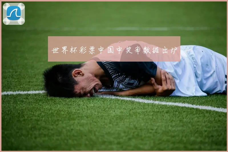 世界杯彩票中国中奖率数据出炉