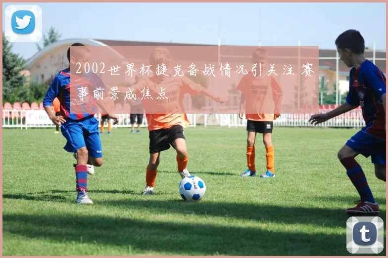 2002世界杯捷克备战情况引关注 赛事前景成焦点