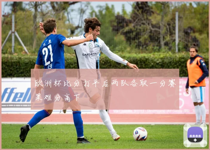 欧洲杯比分打平后两队各取一分赛果难分高下