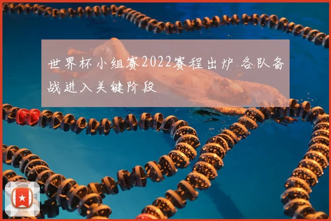 世界杯小组赛2022赛程出炉 各队备战进入关键阶段