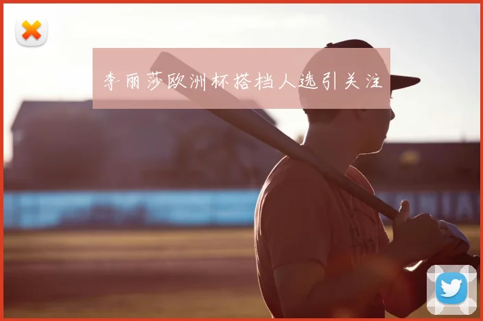 李丽莎欧洲杯搭档人选引关注