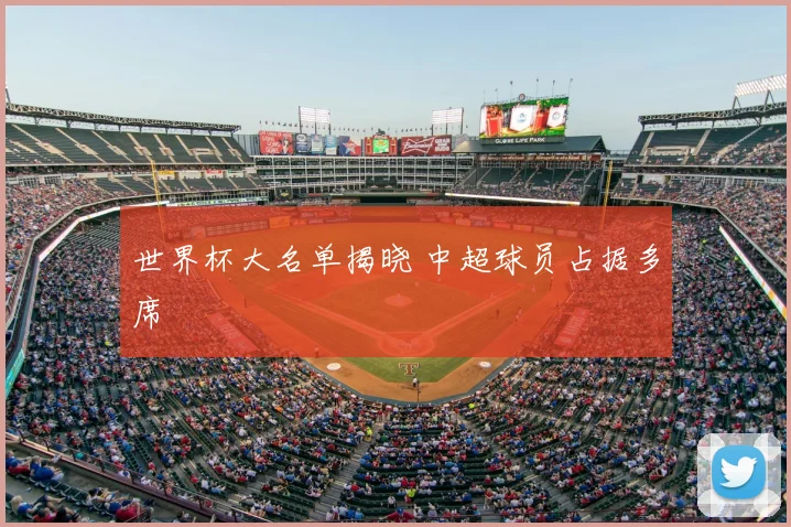 世界杯大名单揭晓 中超球员占据多席