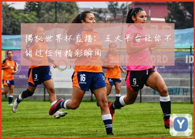 揭秘世界杯直播：五大平台让你不错过任何精彩瞬间