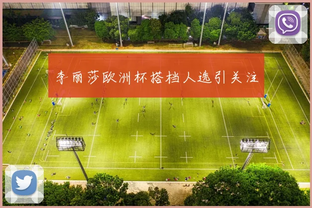 李丽莎欧洲杯搭档人选引关注