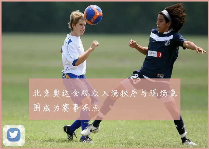 北京奥运会观众入场秩序与现场氛围成为赛事亮点