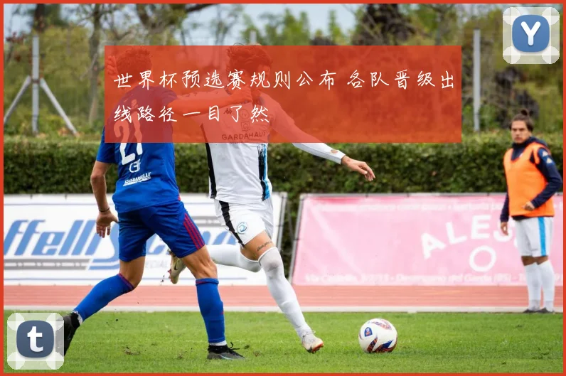 世界杯预选赛规则公布 各队晋级出线路径一目了然