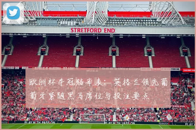 欧洲杯夺冠赔率表:英格兰领先葡萄牙紧随黑马席位与投注要点