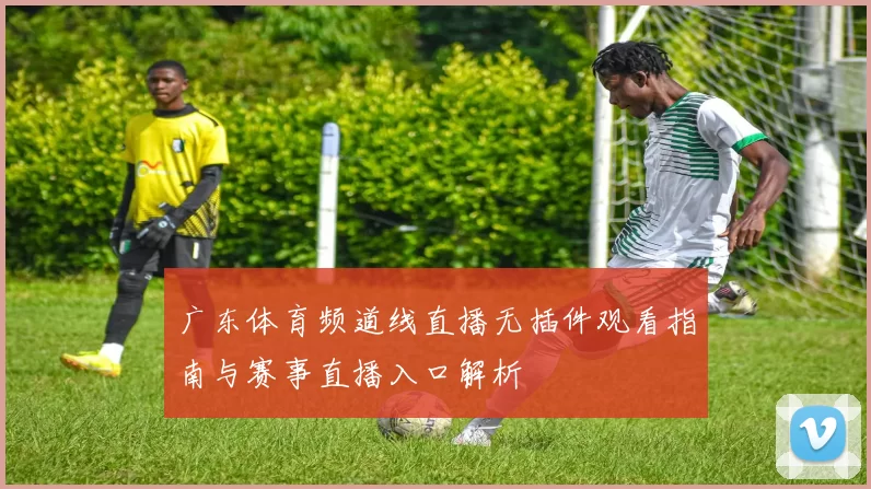 广东体育频道线直播无插件观看指南与赛事直播入口解析